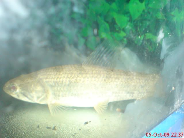 ab6c3229.jpg
