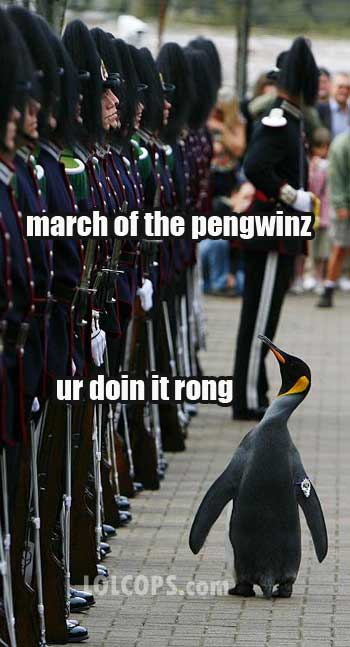 3386942338_d5ed63bb21_o.jpg