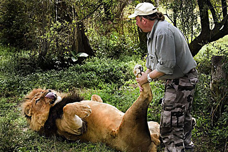 lionCATERS_450x300.jpg