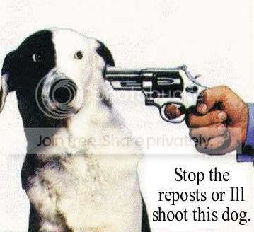 stop_repost.jpg
