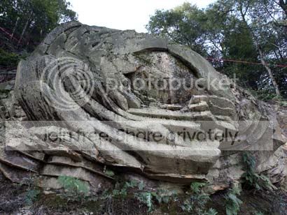 rockflower.jpg