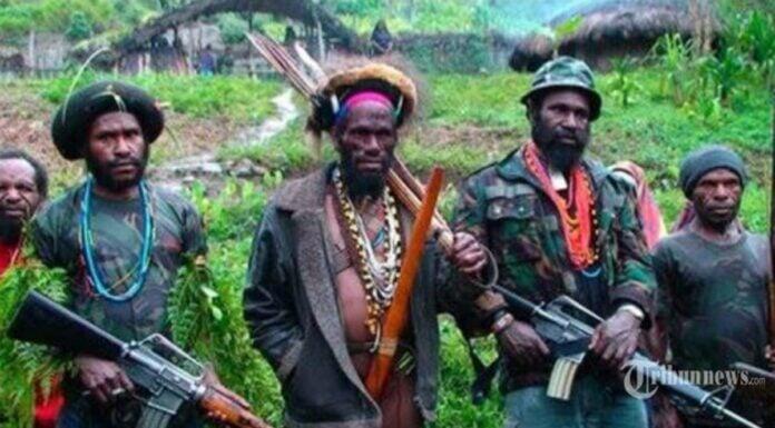 Sejarah Terbentuknya KKB Papua [Kompetisi KGPT]