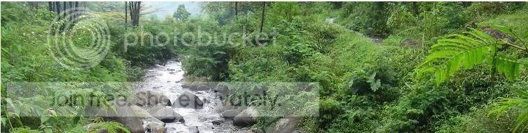 sungai.jpg
