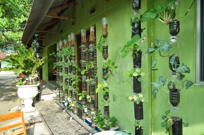 Yuk Mencoba Bercocok Tanam diruang yg Terbatas 