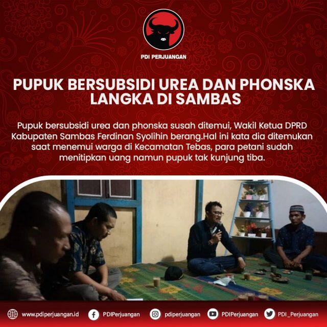 Pupuk Bersubsidi Urea & Phonska Langka di Sambas