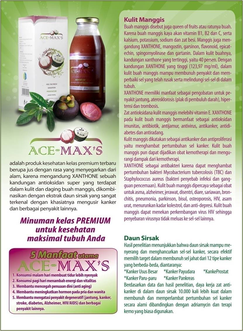 brosur+-maxs.jpg