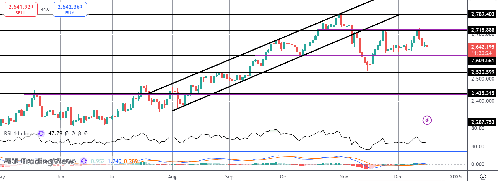 gold---2024-12-17t104002.079.png
