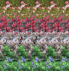 ShowLetter.gif