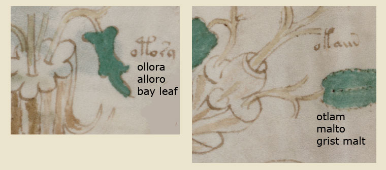 folio_88v_3.jpg