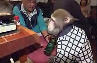 monkey_waiter_2.jpg