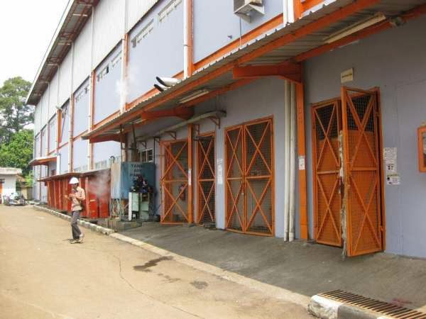 p08a.jpg