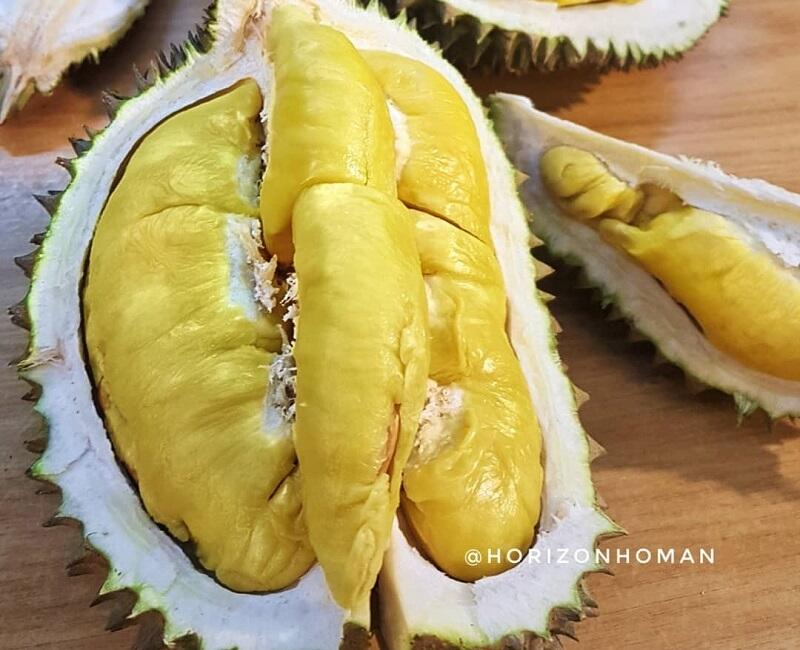 3 Durian Terenak & Termahal, Nomor 2 dari Indonesia!