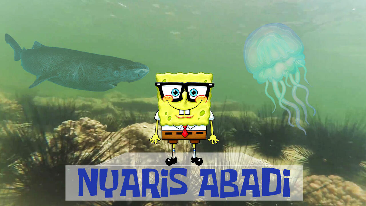 Ternyata Ada Hewan yg Hidupnya Nyaris Abadi
