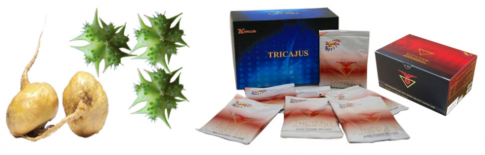 tricajus-lengkap.jpeg