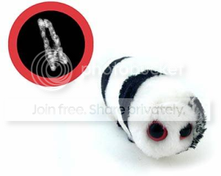bacteria_madcow-rabies.png