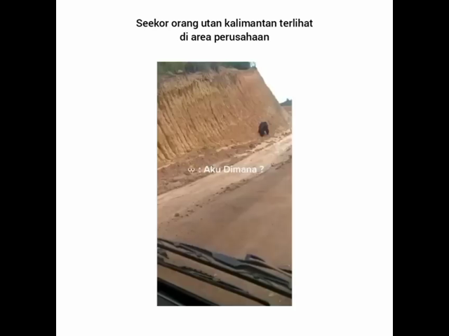 {thread_title}