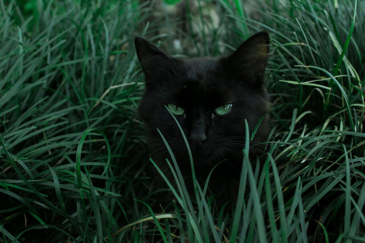 Ada Apa dengan Friday the 13th? Mengapa Menyeramkan?