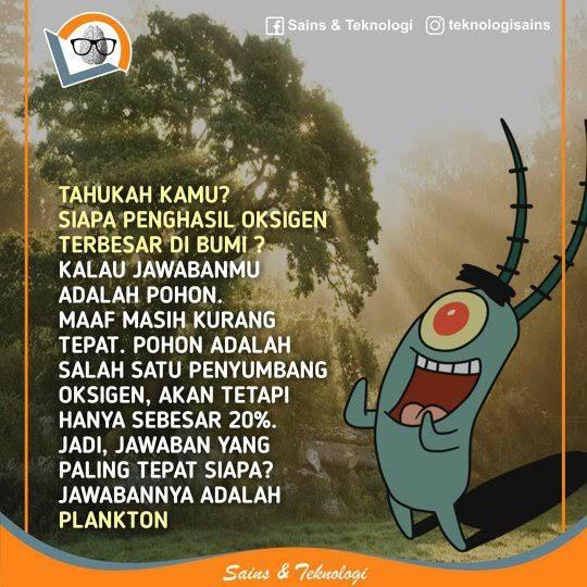 Bila Lautan Tidak Ada Oksigen Apa Yang Akan Terjadi? 