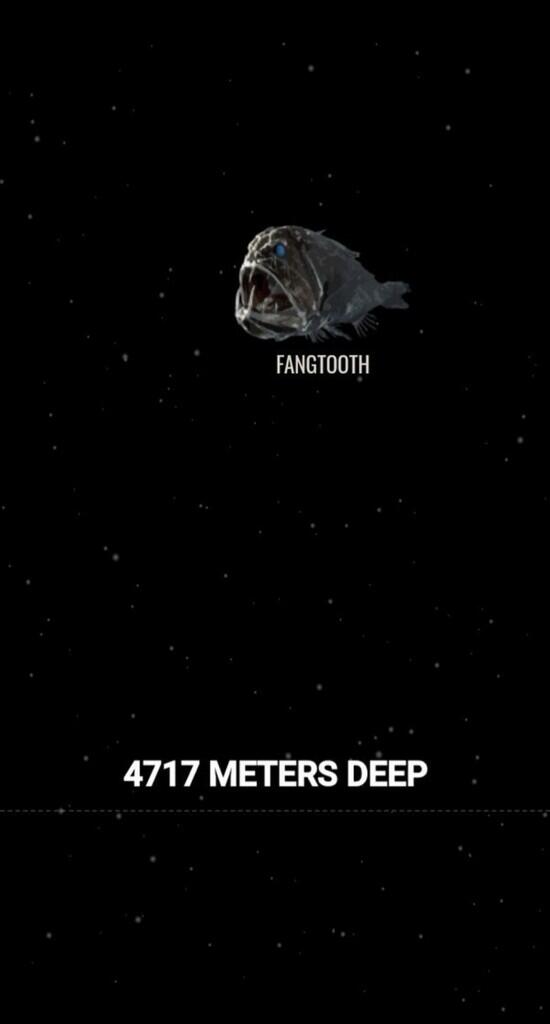 Ini Dia Ilustrasi Dalamnya Laut yg Begitu Menyeramkan [Warning : Sangat Dalam]