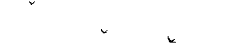 pvvyegwl.gif
