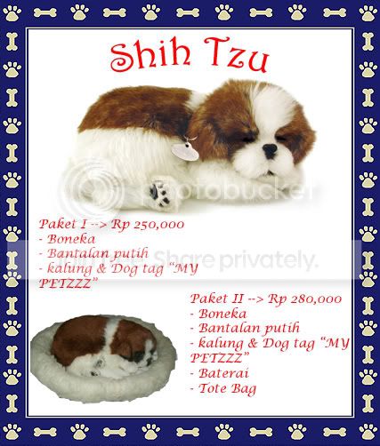 shitzucopy.jpg