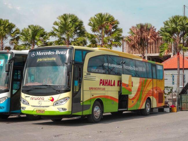 Pahala Kencana, Kuda Kencana Asal Muria Raya