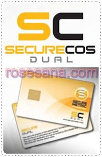 securecosdual.jpg