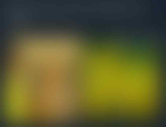 ingat piala dunia 2022, ingat bang yusuf bin sanusi