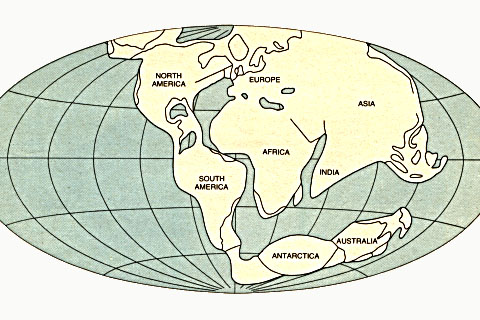 Pangea.jpg