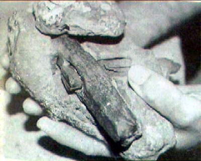 k7oHa.jpg