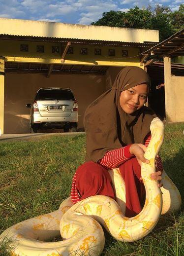 Gadis Ini Pelihara Ular Piton Hingga 6 Ekor, Waw Keren!