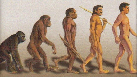 darwin-4.jpg