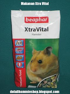 extra+vitral.jpg