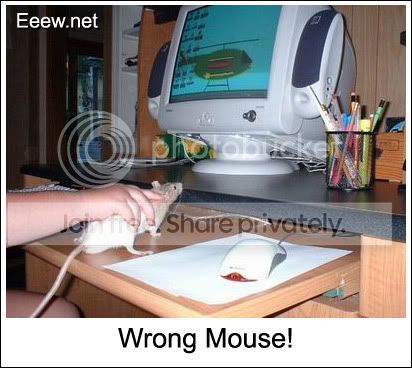 wrong_mouse.jpg