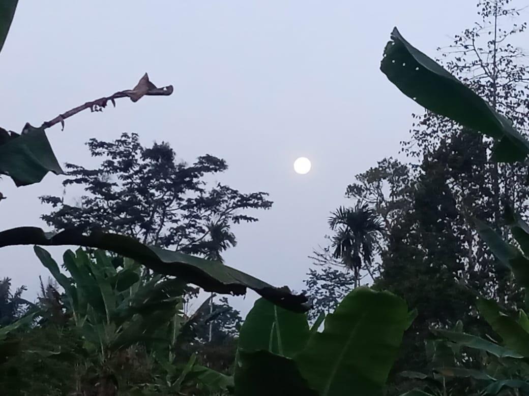 Kerinduan Kering Kampung Halaman Tersayang