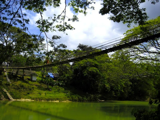 loboc2.jpg