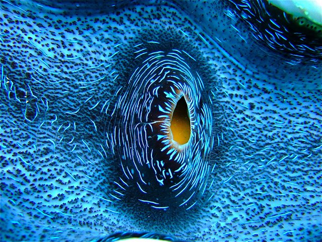 3947115594_6a4016fd76_o.jpg