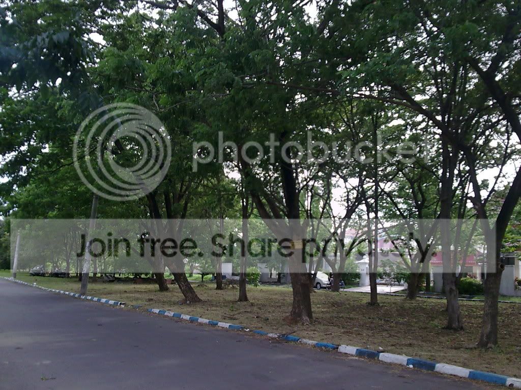 Picture140.jpg