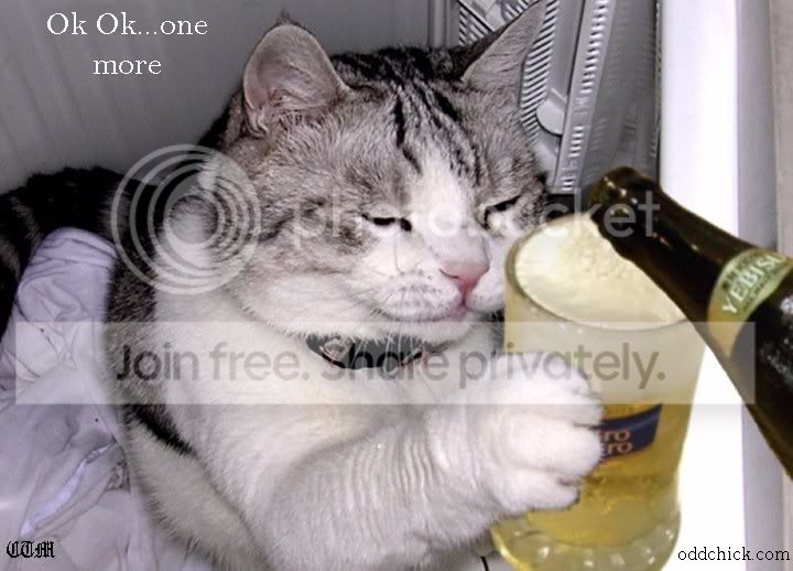 CatOneMore.jpg
