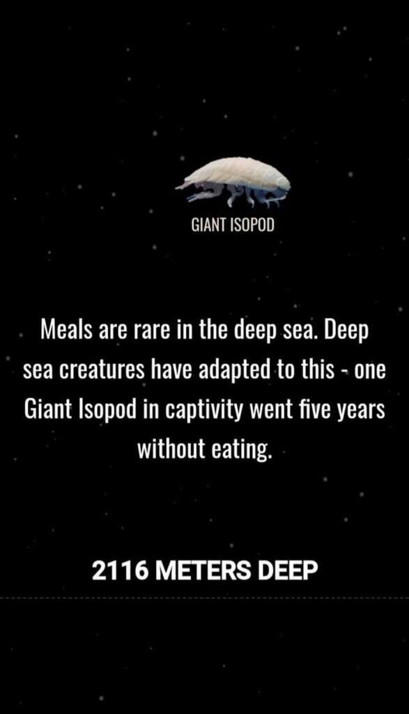 Ini Dia Ilustrasi Dalamnya Laut yg Begitu Menyeramkan [Warning : Sangat Dalam]
