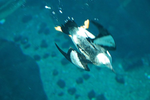 425999593_a819966470.jpg