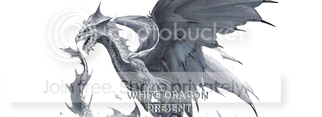 WhiteDragonHeader-Copy-Copy.png