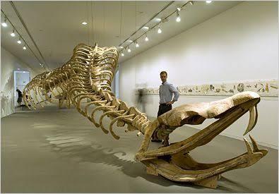 Kenapa Ular Titanoboa Punah ?