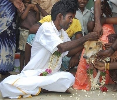 nikahi-anjing-nih-ye3.jpg