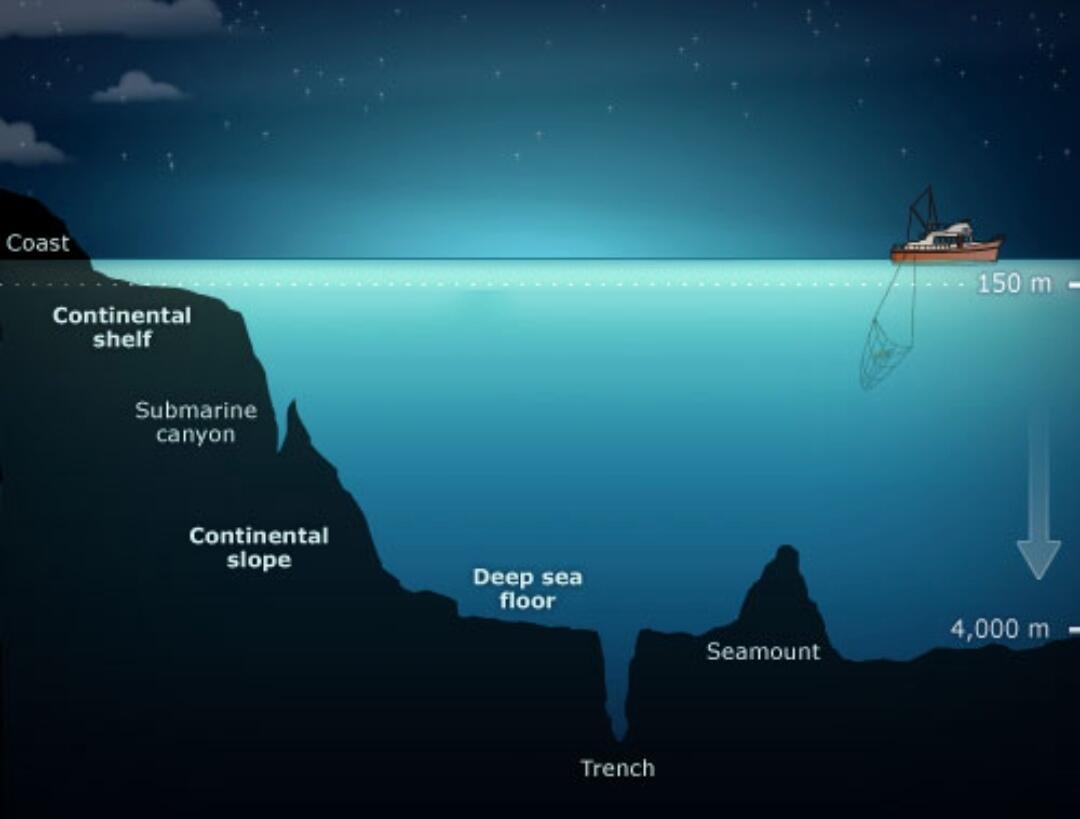 Ini Dia Ilustrasi Dalamnya Laut yg Begitu Menyeramkan [Warning : Sangat Dalam]