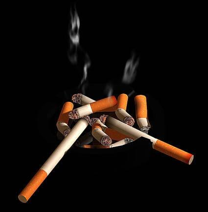 Filosofi Rokok