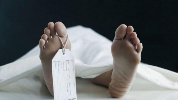 Aneka Senjata yg Dipakai Saat Perang Menerjang