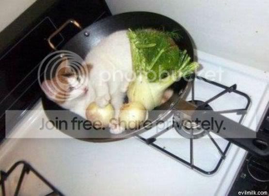 Dinner.jpg