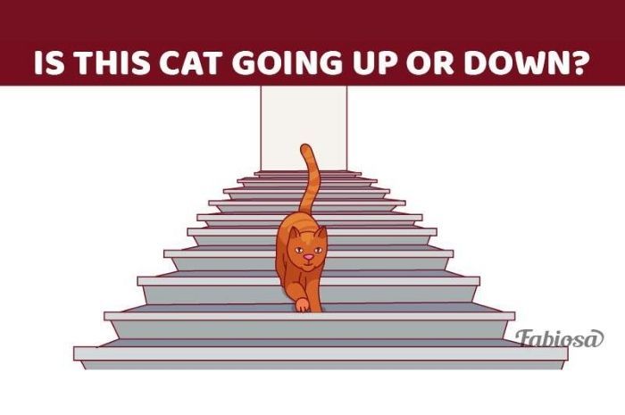 Tes IQ: Ilusi . .??? Is This Cat Going Up Or Down