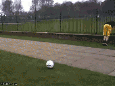 d6RVL.gif